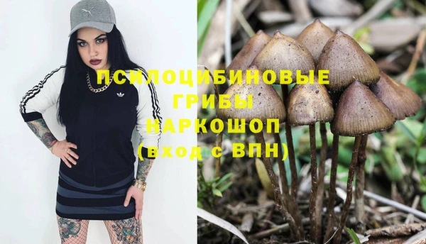 метадон Алексин