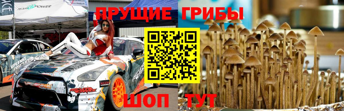 Галлюциногенные грибы ЛСД  Вход с VPN  Урай  Галлюциногенные грибы прущие грибы 